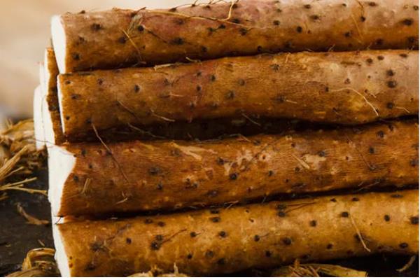 淮山药和普通山药有什么区别，外观、品质、产地等方面均不同