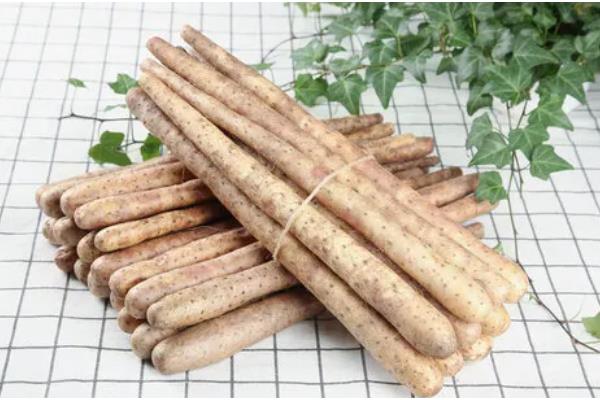 淮山药和普通山药有什么区别，外观、品质、产地等方面均不同