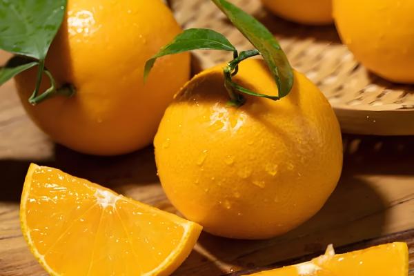 黄美人柑橘品种简介，一般在2-3月份成熟