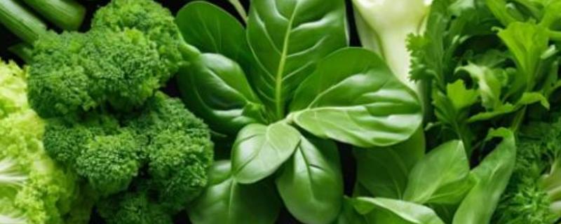 绿色食品的级别，分为AA级和A级