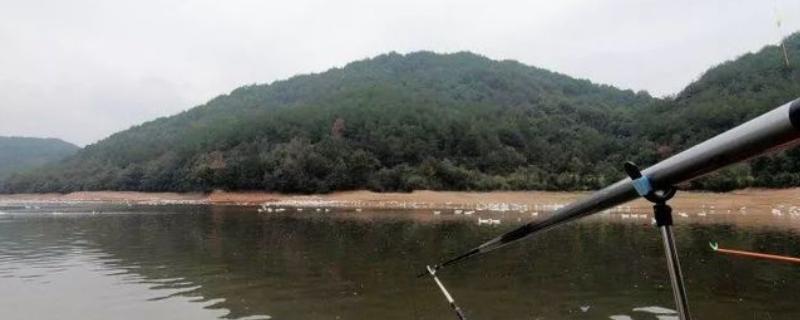 一味经典2代鱼竿的简介，属于综合竿钓重为1600-2700克