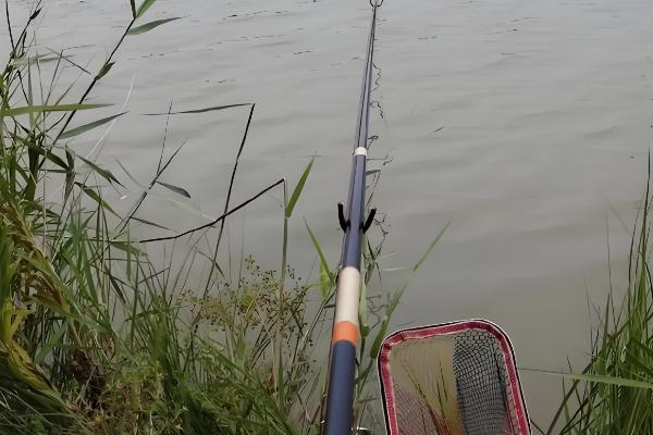 酒米打窝死窝后还能活吗,酒味太浓和风浪太大一般没法活