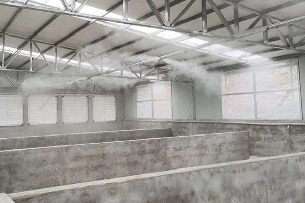 怎么养黑水鸡,要定期巡视养殖场所