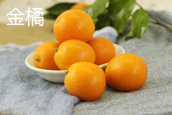 桂林盛产哪些水果，盛产金橘、芭蕉等