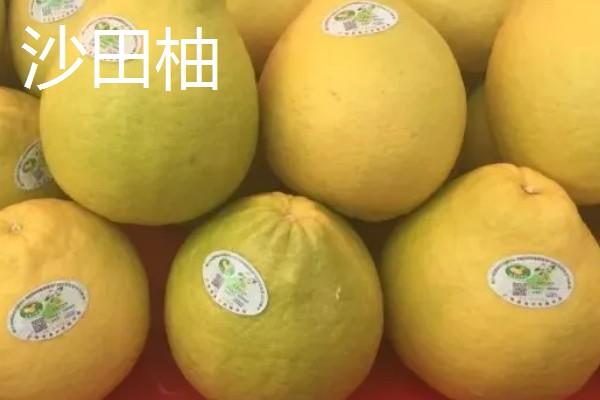 桂林盛产哪些水果，盛产金橘、芭蕉等