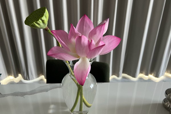 荷花生虫如何解决,饲养小鱼虾会捕食害虫