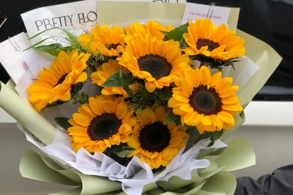 向日葵能送病人吗，可以送病人