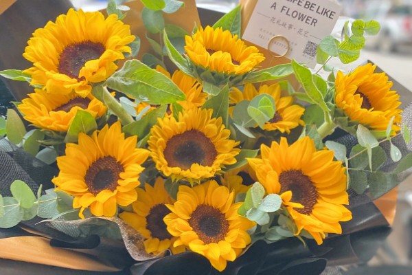 向日葵能送病人吗，可以送病人