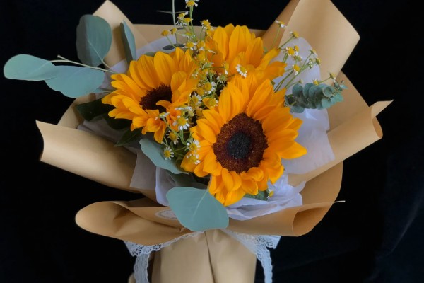 向日葵能送病人吗，可以送病人