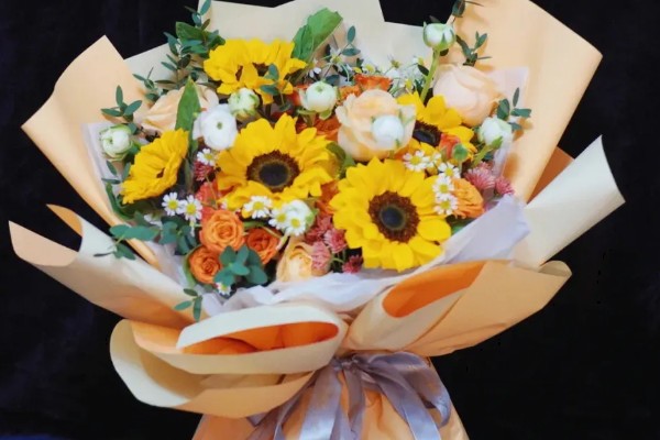 向日葵能送病人吗，可以送病人