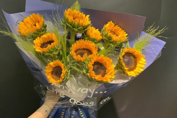 向日葵能送病人吗，可以送病人