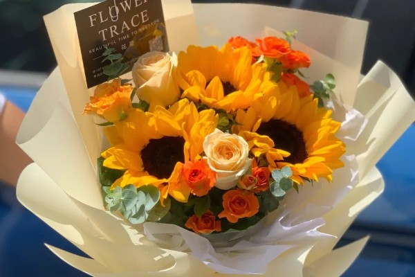 向日葵能送病人吗，可以送病人