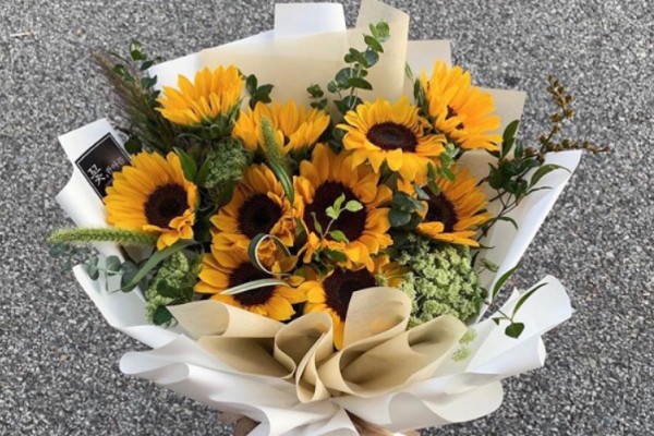 向日葵能送病人吗，可以送病人