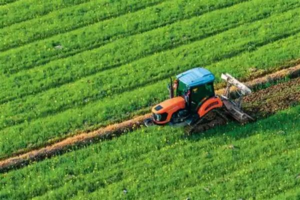 中国农业的哪些领域世界领先，有以下4种