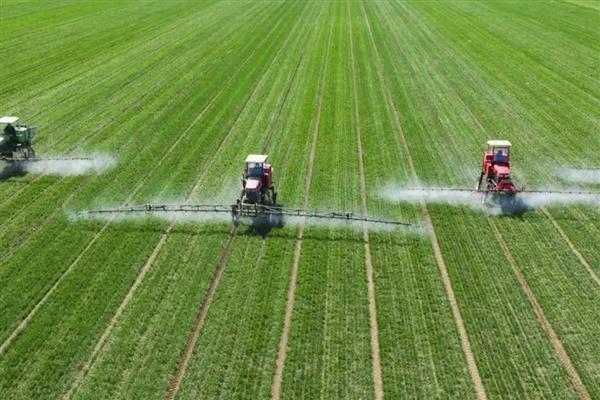 中国农业的哪些领域世界领先，有以下4种