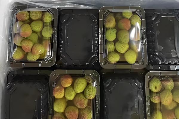 荔枝如何贮运才能保鲜，放在泡沫箱中并加入冰块可保鲜5天左右