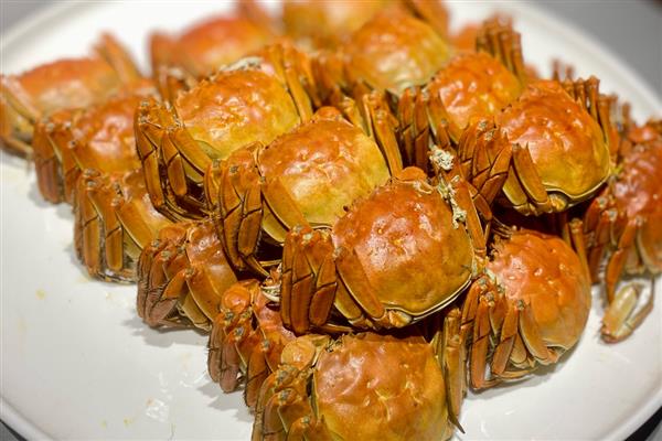 吃螃蟹能喝牛奶吗，吃螃蟹可以喝牛奶