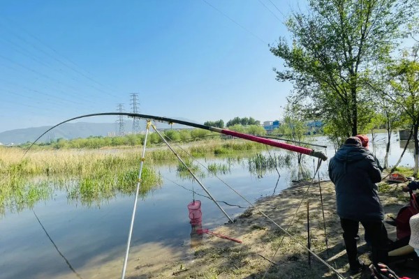 钓鱼鱼线多长合适,鱼线长度和鱼竿差不多长