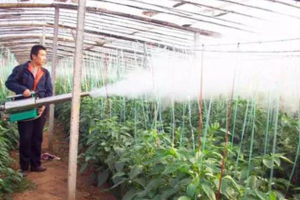 大棚蔬菜使用粉尘剂的好处，施药功效大大提高