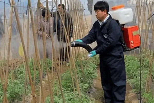 大棚蔬菜使用粉尘剂的好处，施药功效大大提高