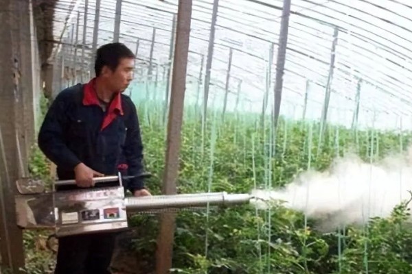 大棚蔬菜使用粉尘剂的好处，施药功效大大提高