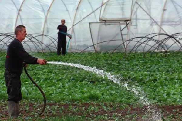 大棚蔬菜使用粉尘剂的好处，施药功效大大提高