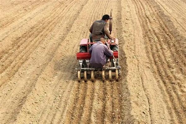 小麦种子的生殖方式，属于有性生殖
