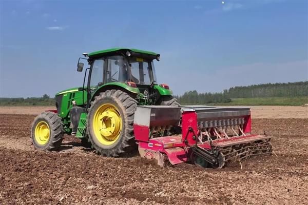 小麦种子的生殖方式，属于有性生殖