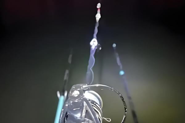 夜钓什么时候有口，晚上8-9点大部分鱼类都会开口