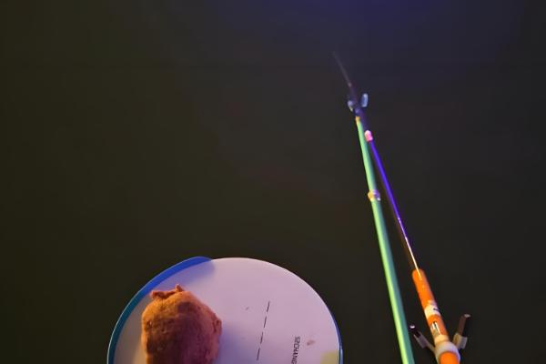 夜钓什么时候有口，晚上8-9点大部分鱼类都会开口