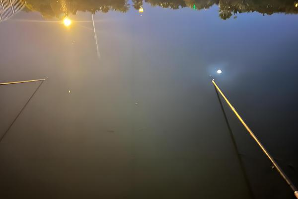 夜钓什么时候有口，晚上8-9点大部分鱼类都会开口