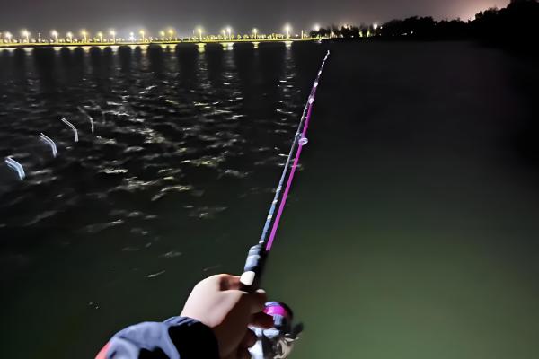 夜钓什么时候有口，晚上8-9点大部分鱼类都会开口