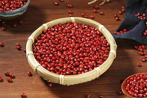 大红豆怎么种植,每穴播种2-3粒