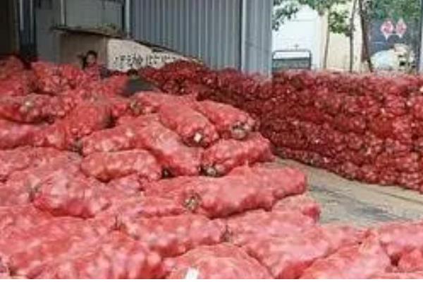 洋葱什么时候种植,可以在9月上旬时栽种