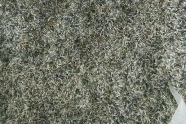 白头翁的种植方法,返青前亩施硫酸钾型复合肥10公斤