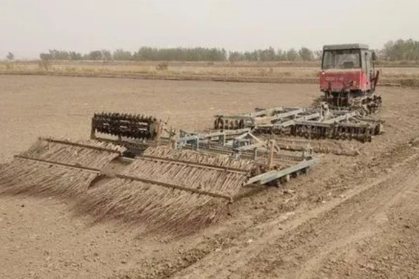 白头翁的种植方法,返青前亩施硫酸钾型复合肥10公斤