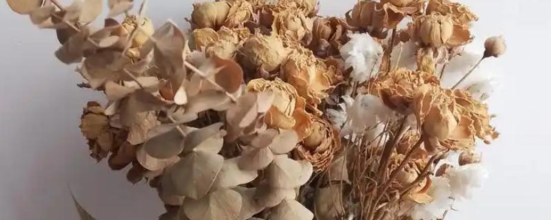 将鲜花制成干花需要倒挂多久，挂在阴凉通风处仅需7-15天左右