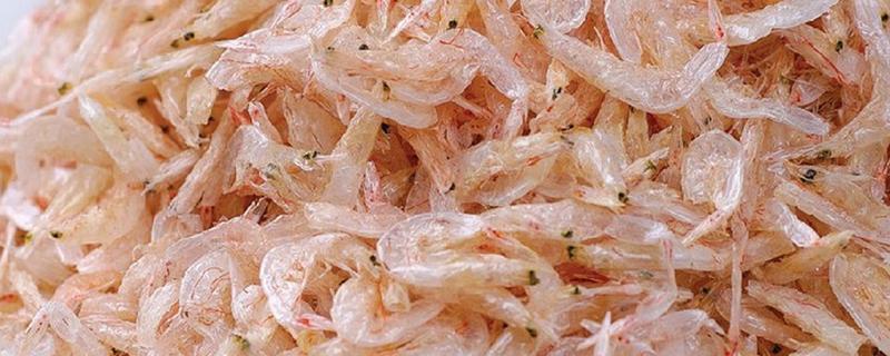 毛虾苗的原产地，在渤海、黄海分布比较多