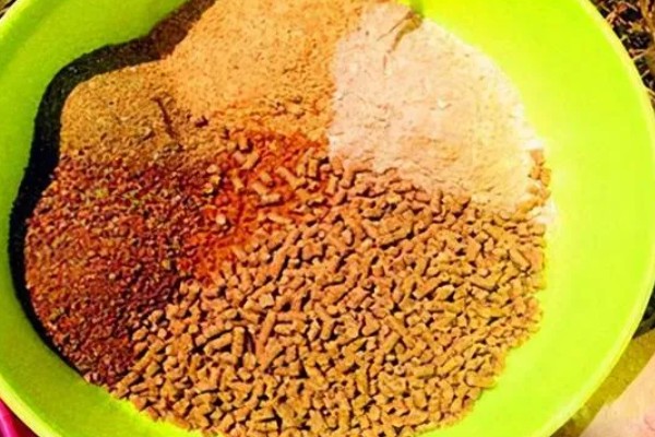 菜籽饼钓鲢鳙效果好不好，要跟一定量的水进行混合才能使用