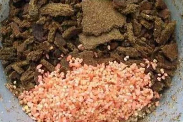 菜籽饼钓鲢鳙效果好不好，要跟一定量的水进行混合才能使用