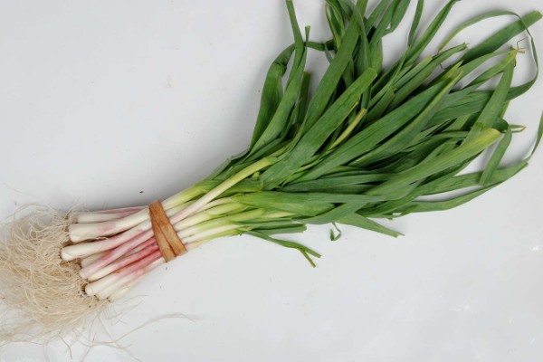 蒜苗有哪些营养价值,含有大量的辣素