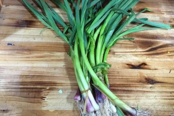 蒜苗有哪些营养价值,含有大量的辣素