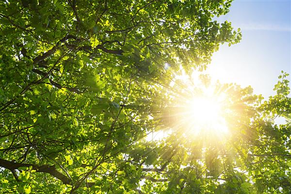 散射光照的含义，指阳光照射窗户等地方发射出来的光线