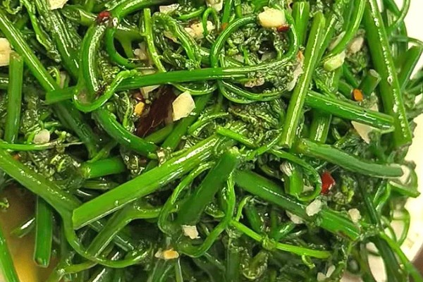 水蕨的作用，可供观赏还能净化空气