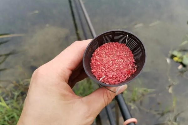 冬季用什么酒米打窝，可用麝香酒米或中药酒米打