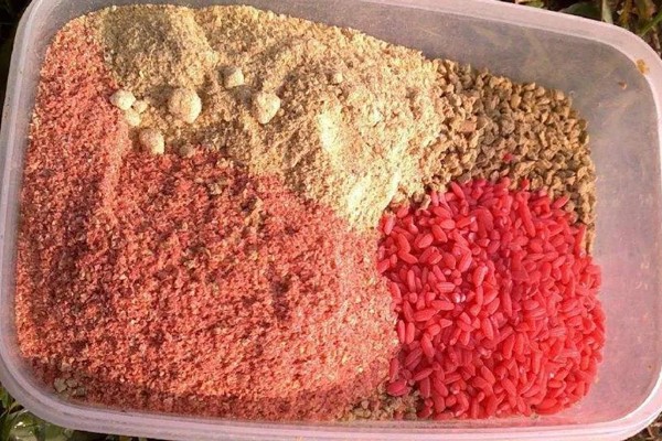 冬季用什么酒米打窝，可用麝香酒米或中药酒米打