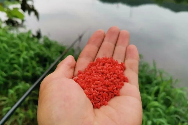 冬季用什么酒米打窝，可用麝香酒米或中药酒米打