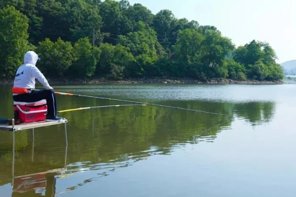 冬季用什么酒米打窝，可用麝香酒米或中药酒米打