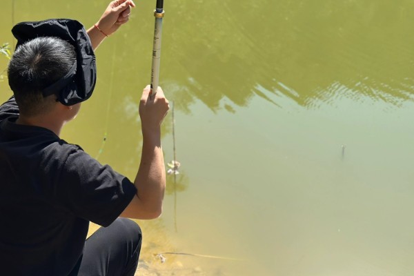 冬季用什么酒米打窝，可用麝香酒米或中药酒米打