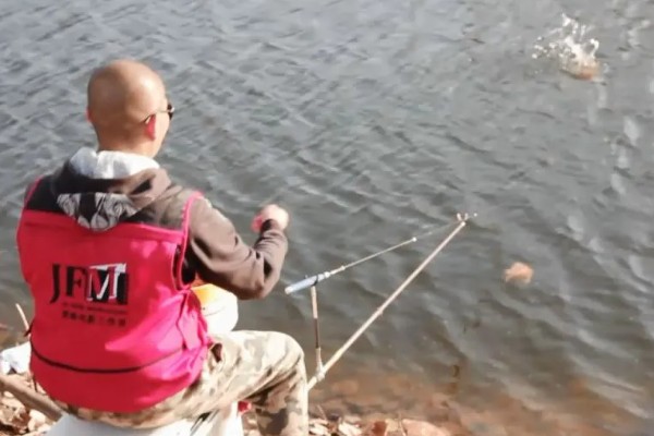 冬季用什么酒米打窝，可用麝香酒米或中药酒米打